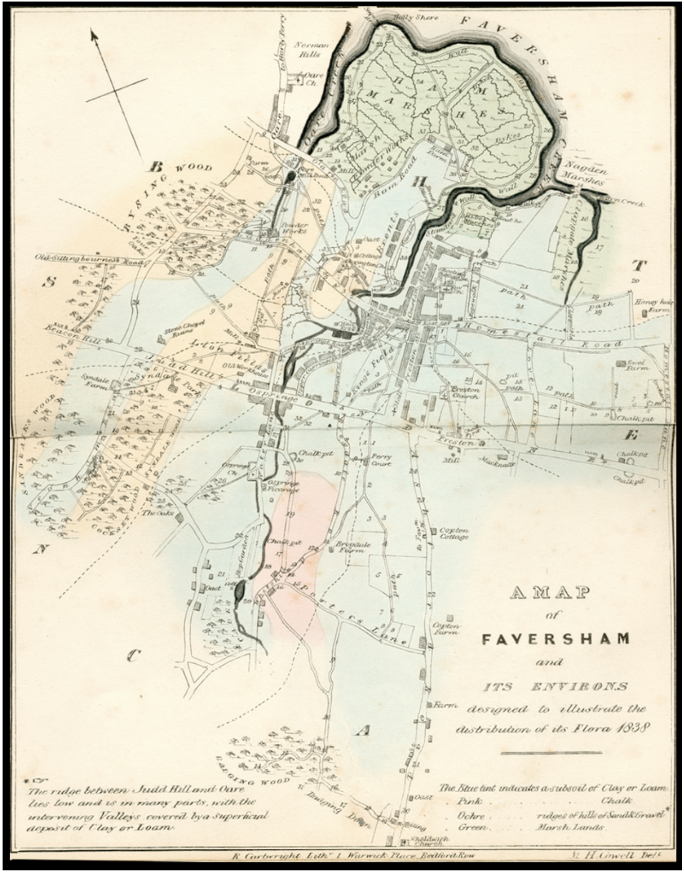A Map of Favesham and its environs designed to illustrate the distributioin of its Flora 1838